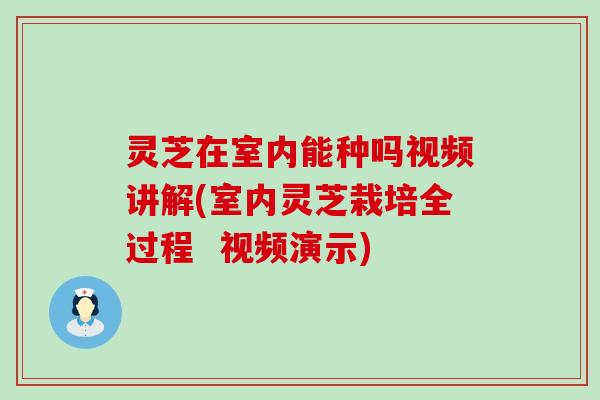 灵芝在室内能种吗视频讲解(室内灵芝栽培全过程  视频演示)