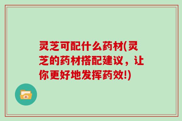 灵芝可配什么药材(灵芝的药材搭配建议，让你更好地发挥!)