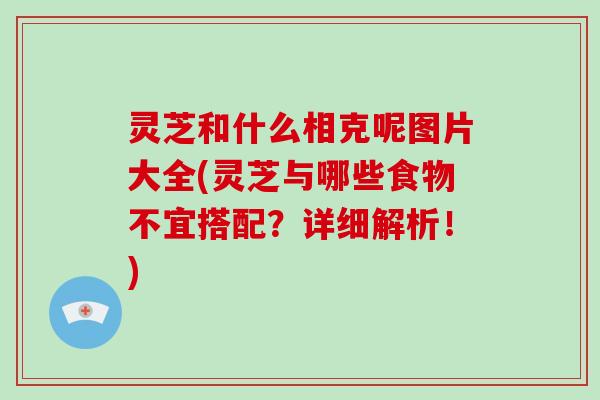 灵芝和什么相克呢图片大全(灵芝与哪些食物不宜搭配？详细解析！)