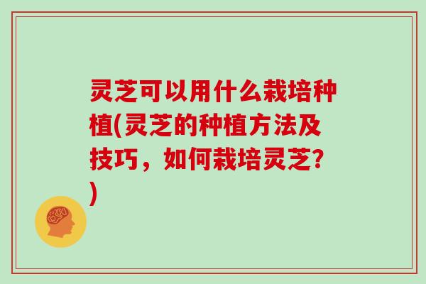 灵芝可以用什么栽培种植(灵芝的种植方法及技巧，如何栽培灵芝？)