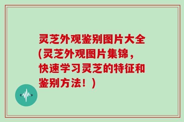 灵芝外观鉴别图片大全(灵芝外观图片集锦，快速学习灵芝的特征和鉴别方法！)