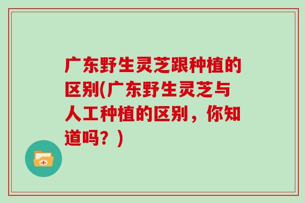 广东野生灵芝跟种植的区别(广东野生灵芝与人工种植的区别，你知道吗？)