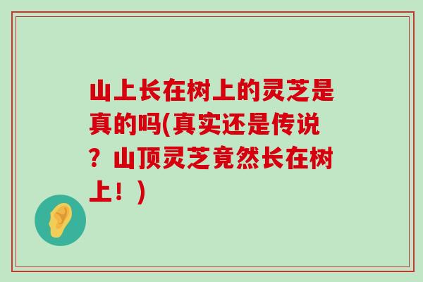 山上长在树上的灵芝是真的吗(真实还是传说？山顶灵芝竟然长在树上！)