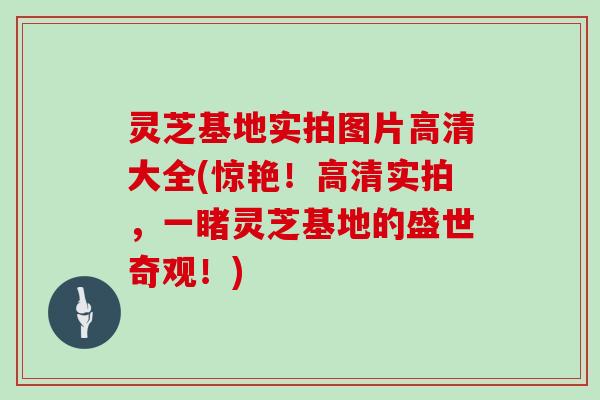 灵芝基地实拍图片高清大全(惊艳！高清实拍，一睹灵芝基地的盛世奇观！)