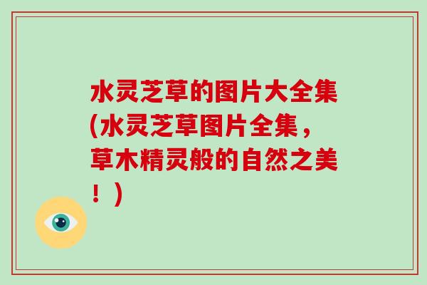 水灵芝草的图片大全集(水灵芝草图片全集，草木精灵般的自然之美！)