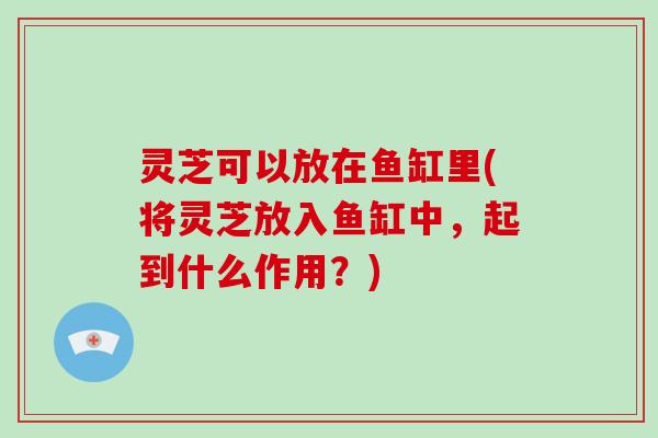 灵芝可以放在鱼缸里(将灵芝放入鱼缸中，起到什么作用？)