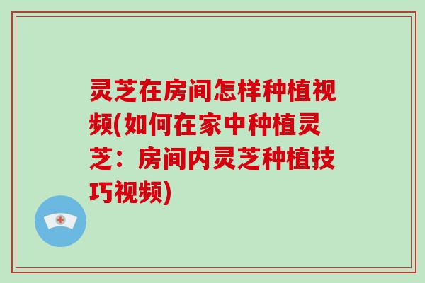 灵芝在房间怎样种植视频(如何在家中种植灵芝：房间内灵芝种植技巧视频)