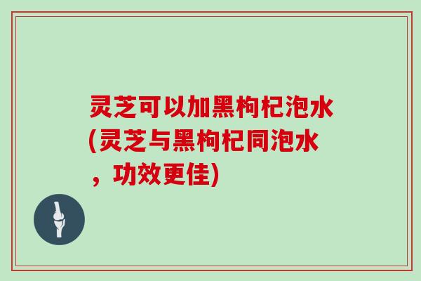 灵芝可以加黑枸杞泡水(灵芝与黑枸杞同泡水，功效更佳)