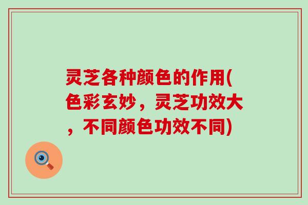 灵芝各种颜色的作用(色彩玄妙，灵芝功效大，不同颜色功效不同)