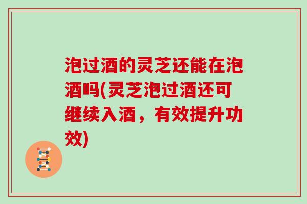 泡过酒的灵芝还能在泡酒吗(灵芝泡过酒还可继续入酒，有效提升功效)