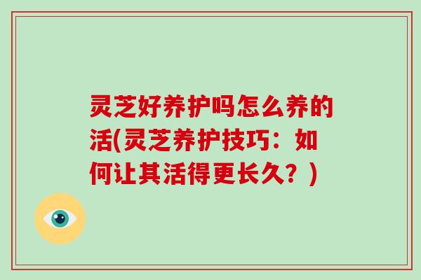 灵芝好养护吗怎么养的活(灵芝养护技巧：如何让其活得更长久？)