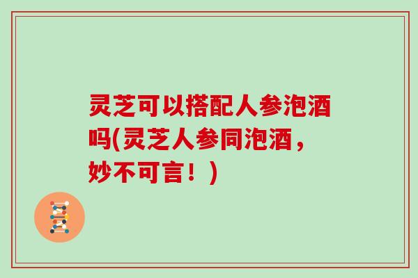 灵芝可以搭配人参泡酒吗(灵芝人参同泡酒，妙不可言！)