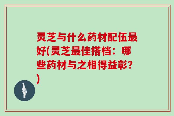 灵芝与什么药材配伍好(灵芝佳搭档：哪些药材与之相得益彰？)