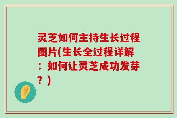 灵芝如何主持生长过程图片(生长全过程详解：如何让灵芝成功发芽？)