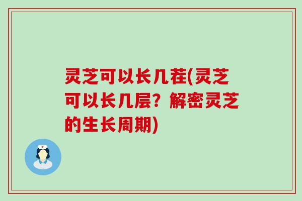 灵芝可以长几茬(灵芝可以长几层？解密灵芝的生长周期)