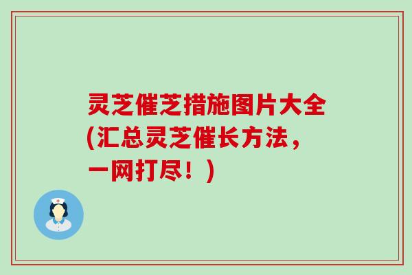 灵芝催芝措施图片大全(汇总灵芝催长方法，一网打尽！)