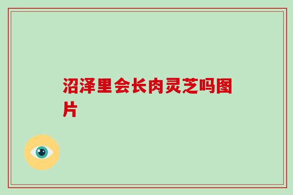 沼泽里会长肉灵芝吗图片