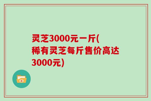 灵芝3000元一斤(稀有灵芝每斤售价高达3000元)