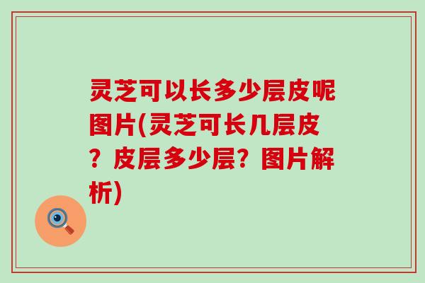 灵芝可以长多少层皮呢图片(灵芝可长几层皮？皮层多少层？图片解析)