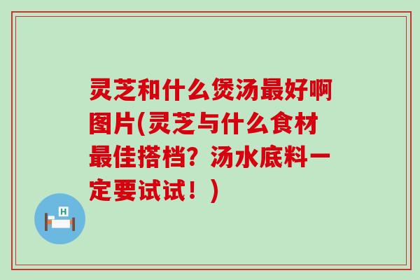 灵芝和什么煲汤好啊图片(灵芝与什么食材佳搭档？汤水底料一定要试试！)