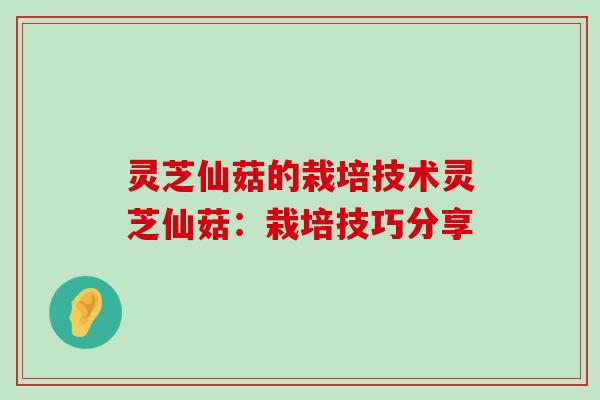 灵芝仙菇的栽培技术灵芝仙菇：栽培技巧分享