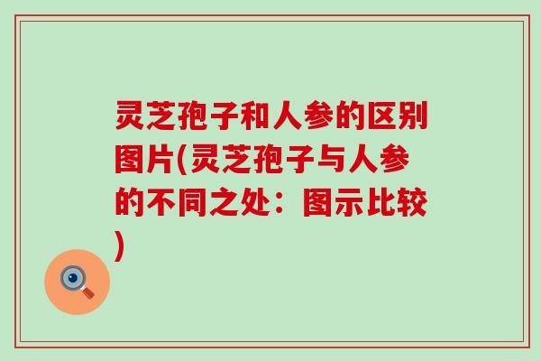 灵芝孢子和人参的区别图片(灵芝孢子与人参的不同之处：图示比较)