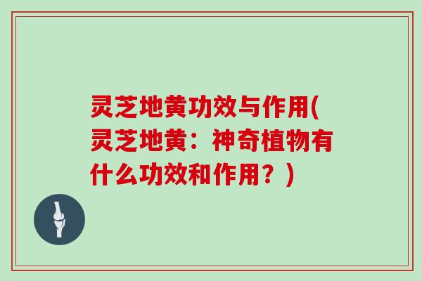 灵芝地黄功效与作用(灵芝地黄：神奇植物有什么功效和作用？)