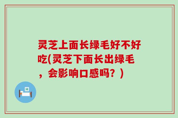 灵芝上面长绿毛好不好吃(灵芝下面长出绿毛，会影响口感吗？)