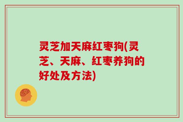 灵芝加天麻红枣狗(灵芝、天麻、红枣养狗的好处及方法)