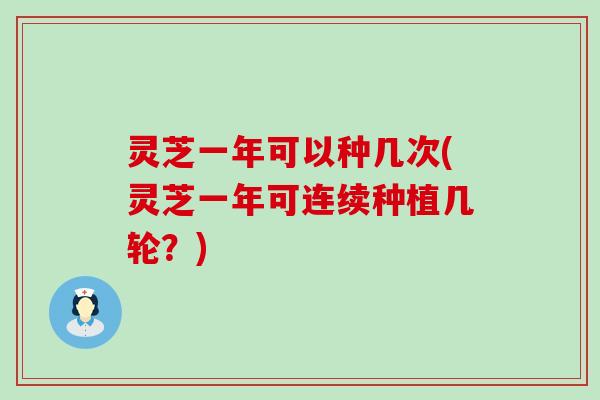 灵芝一年可以种几次(灵芝一年可连续种植几轮？)