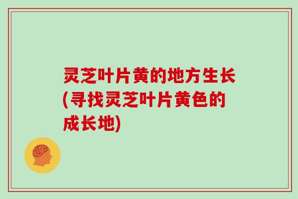 灵芝叶片黄的地方生长(寻找灵芝叶片黄色的成长地)