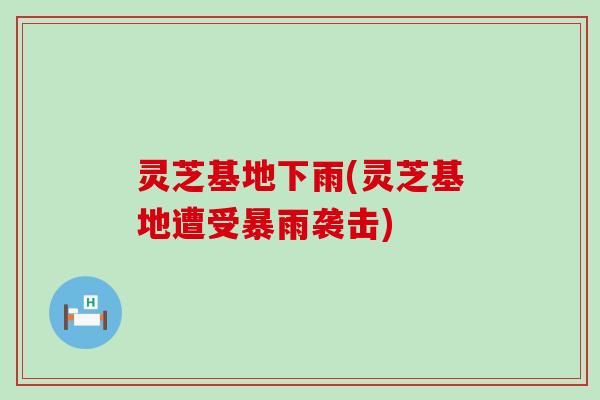 灵芝基地下雨(灵芝基地遭受暴雨袭击)