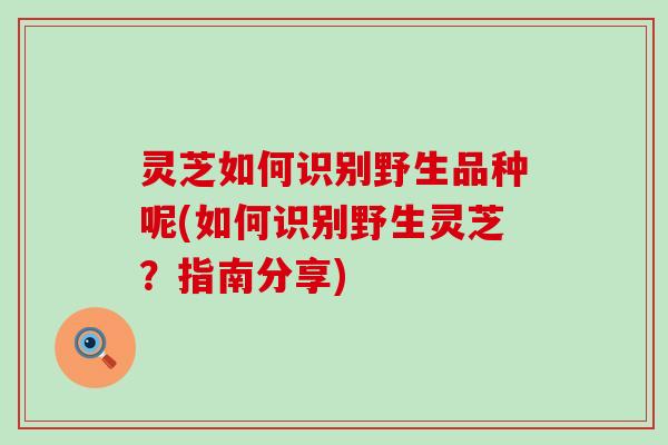 灵芝如何识别野生品种呢(如何识别野生灵芝？指南分享)