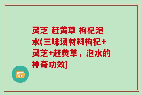 灵芝 赶黄草 枸杞泡水(三味汤材料枸杞+灵芝+赶黄草，泡水的神奇功效)