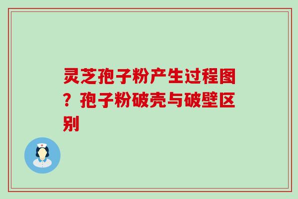 灵芝孢子粉产生过程图？孢子粉破壳与破壁区别