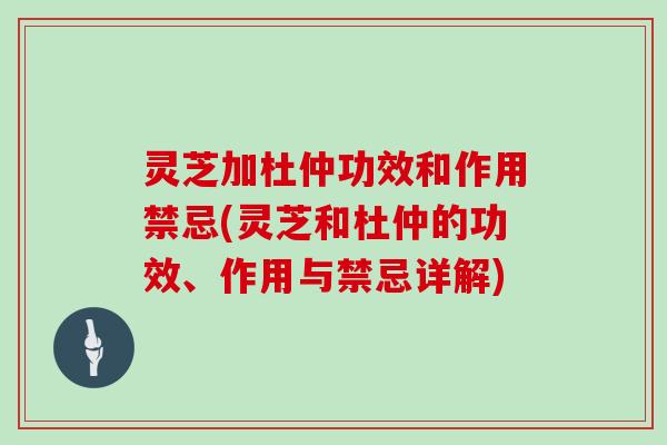 灵芝加杜仲功效和作用禁忌(灵芝和杜仲的功效、作用与禁忌详解)