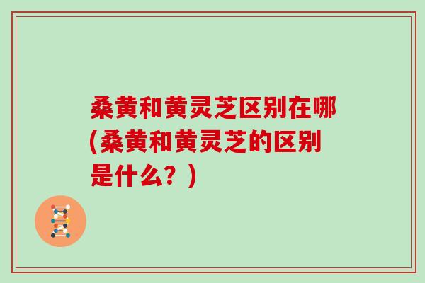 桑黄和黄灵芝区别在哪(桑黄和黄灵芝的区别是什么？)