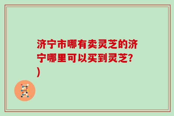 济宁市哪有卖灵芝的济宁哪里可以买到灵芝？)