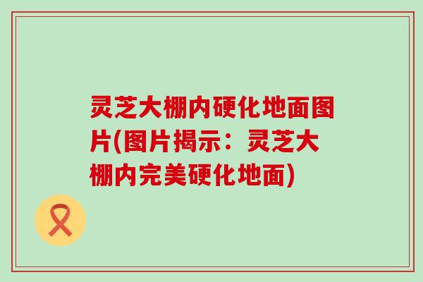 灵芝大棚内硬化地面图片(图片揭示：灵芝大棚内完美硬化地面)