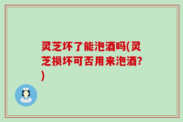 灵芝坏了能泡酒吗(灵芝损坏可否用来泡酒？)