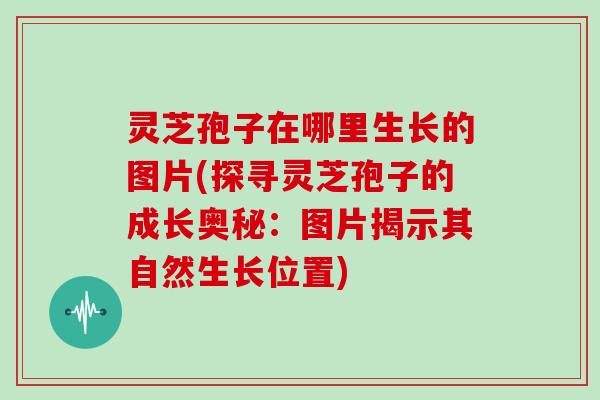 灵芝孢子在哪里生长的图片(探寻灵芝孢子的成长奥秘：图片揭示其自然生长位置)