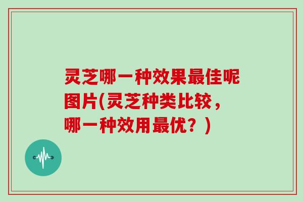 灵芝哪一种效果佳呢图片(灵芝种类比较，哪一种效用优？)