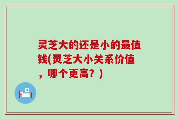 灵芝大的还是小的值钱(灵芝大小关系价值，哪个更高？)