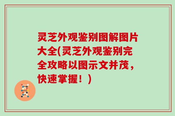 灵芝外观鉴别图解图片大全(灵芝外观鉴别完全攻略以图示文并茂，快速掌握！)