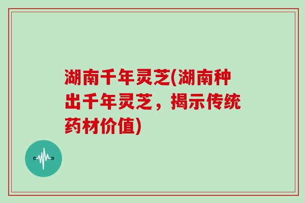 湖南千年灵芝(湖南种出千年灵芝，揭示传统药材价值)