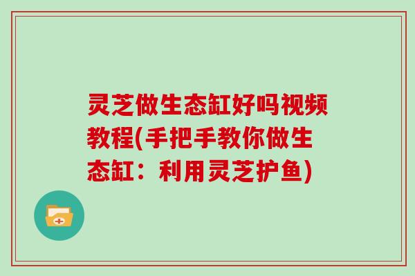 灵芝做生态缸好吗视频教程(手把手教你做生态缸：利用灵芝护鱼)