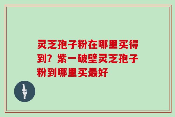 灵芝孢子粉在哪里买得到？紫一破壁灵芝孢子粉到哪里买好