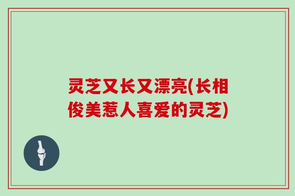 灵芝又长又漂亮(长相俊美惹人喜爱的灵芝)