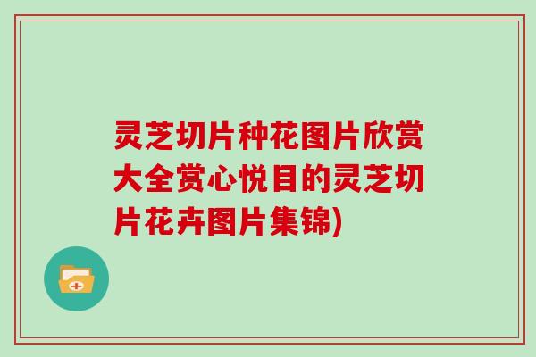 灵芝切片种花图片欣赏大全赏心悦目的灵芝切片花卉图片集锦)