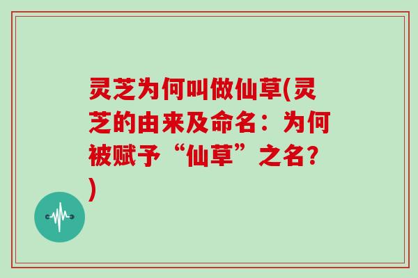 灵芝为何叫做仙草(灵芝的由来及命名：为何被赋予“仙草”之名？)